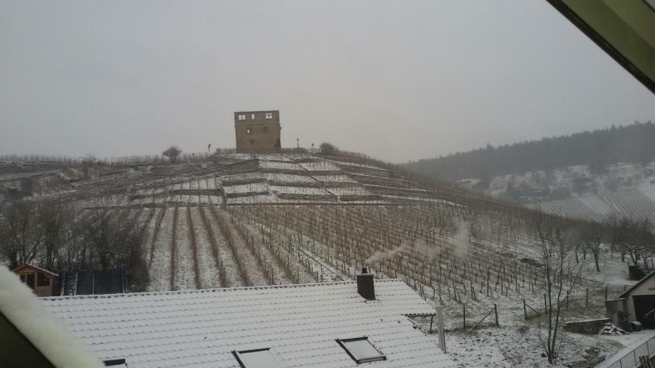 Giebelzimmer Mit Weinbergblick Stetten  エクステリア 写真